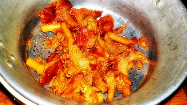 Polievka s kuriatkami a jahňacími mäsovými knedličkami (fotorecept) - obrázok 3