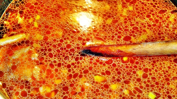 Polievka s kuriatkami a jahňacími mäsovými knedličkami (fotorecept) - obrázok 14