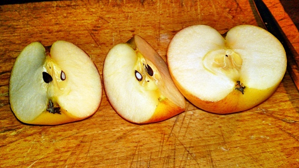 Kuracie prsia pečené na jablkách a na cibuli (fotorecept) - obrázok 3