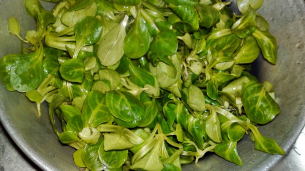 Šalát z valeriánky poľnej s arašidmi (fotorecept) - obrázok 3