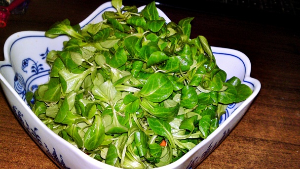 Šalát z valeriánky poľnej s arašidmi (fotorecept) - obrázok 11