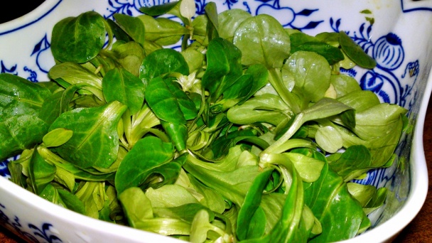 Šalát z valeriánky s mozarellou, cherry paradajkami a cibuľou (fotorecept) - obrázok 6