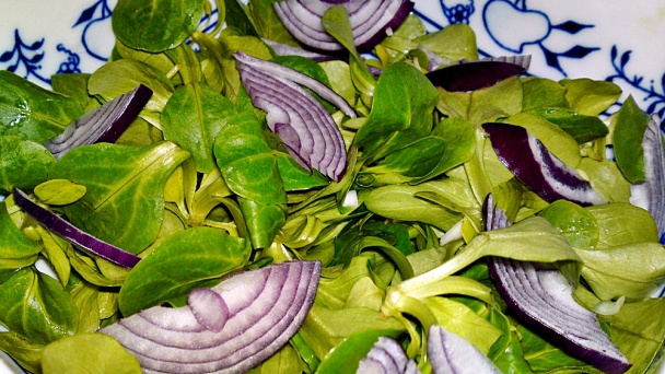 Šalát z valeriánky s mozarellou, cherry paradajkami a cibuľou (fotorecept) - obrázok 7