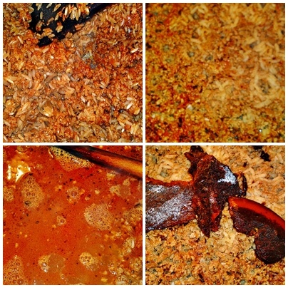 Prekladaný kel (fotorecept) - obrázok 5