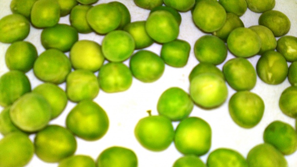 Polievka ragú zo srnčieho stehna so smrčkami a s estragónom (fotorecept) - obrázok 6