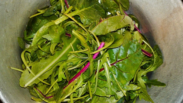 Kuracie prsia s listovým šalátom (fotorecept) - obrázok 5