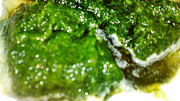 Špenátové halušky s vajcom (fotorecept) - obrázok 4