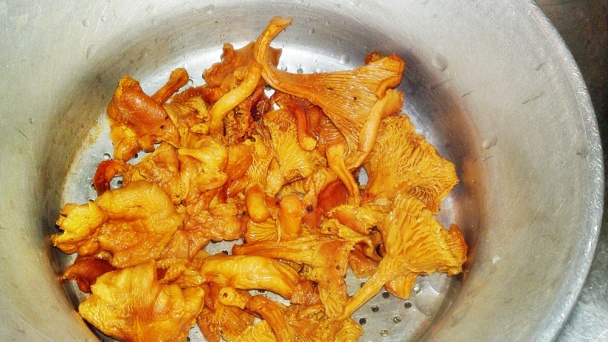 Kuracie prsia v smotanovej omáčke s kuriatkami a pažítkou (fotorecept) - obrázok 4