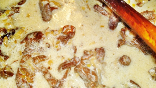 Kuracie prsia v smotanovej omáčke s kuriatkami a pažítkou (fotorecept) - obrázok 11