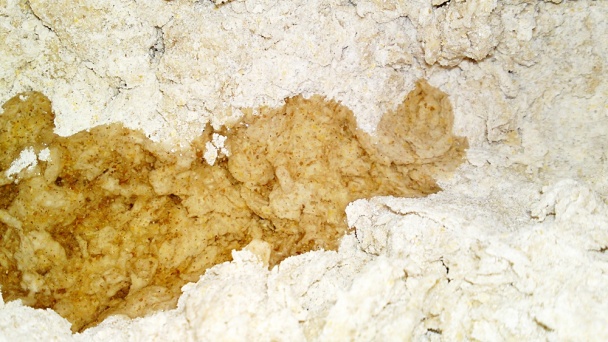 Bosniaky z celozrnnej ražnej, kukuričnej a hladkej múky (fotorecept) - obrázok 6