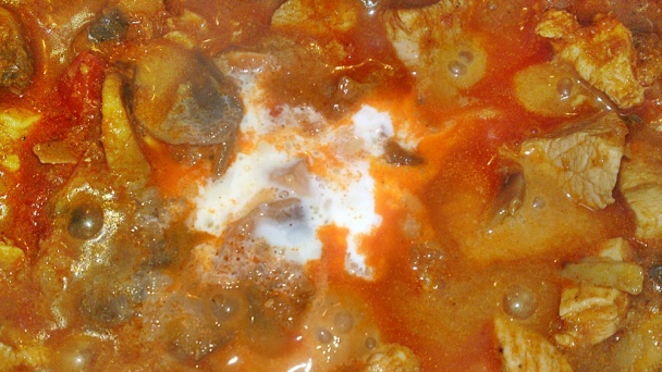 Paprikáš z kuracích pŕs so šampiňónmi (fotorecept) - obrázok 13