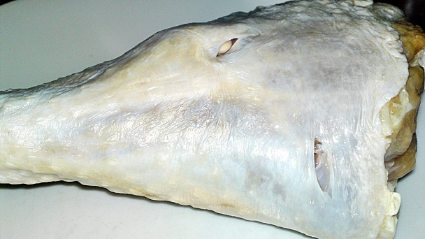 Židovské morčacie stehno na horčici a majoráne (fotorecept) - obrázok 2