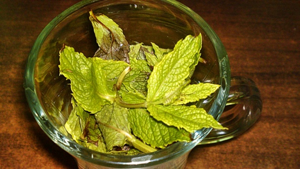 Ipanema cocktail (fotorecept) - obrázok 5