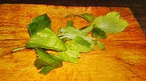  Virgin mojito cocktail (fotorecept) - obrázok 5