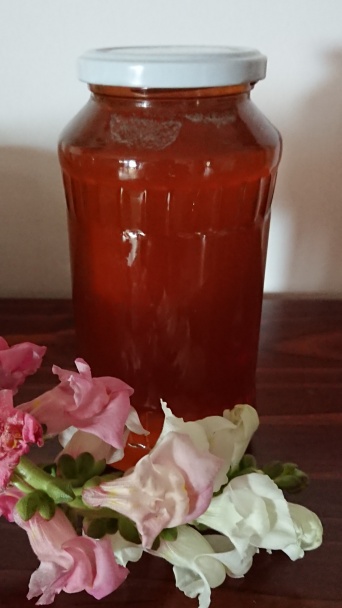 Pravá medovina - austrálsky recept - obrázok 1