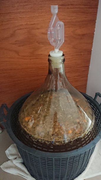 Pravá medovina - austrálsky recept - obrázok 2