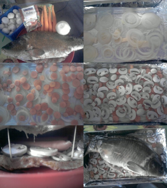 Záhradníkov pstruh - obrázok 1