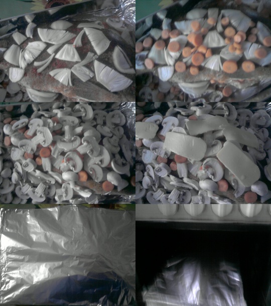 Záhradníkov pstruh - obrázok 2