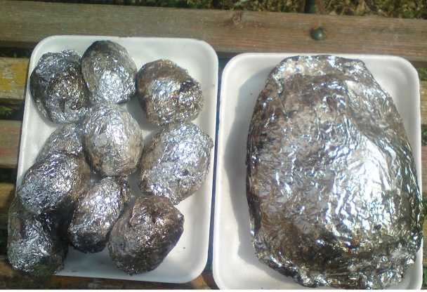 Senzačné kura - obrázok 1