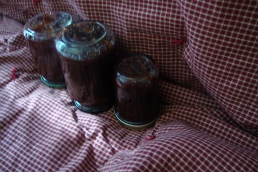 Pečený slivkový lekvár-Sjuz_ik (upravené na podmienky Des Moines - IOWA)  - obrázok 4