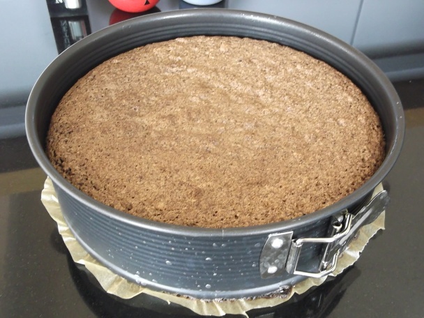 Torta a la Sacher (fotorecept) - obrázok 9