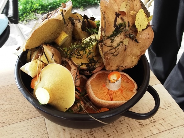 Hubová polievka z masliakov a rýdzikov - obrázok 1