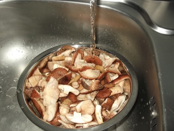 Huby zavárané na prírodno bez nálevu - obrázok 3