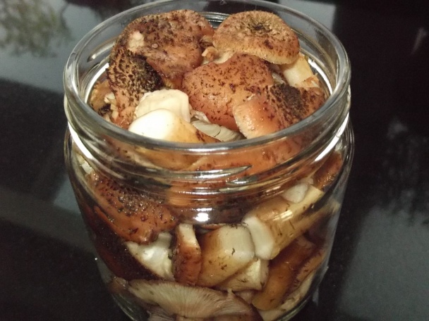 Huby zavárané na prírodno bez nálevu - obrázok 4