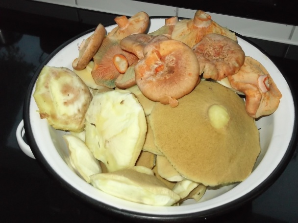 Kuracie prsia na hubách (fotorecept) - obrázok 1