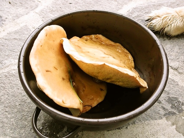 Špargľová polievka s hubami - obrázok 1