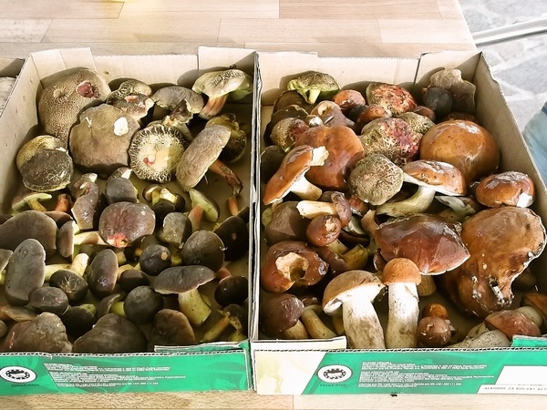 Hubový pekáč (fotorecept) - obrázok 1