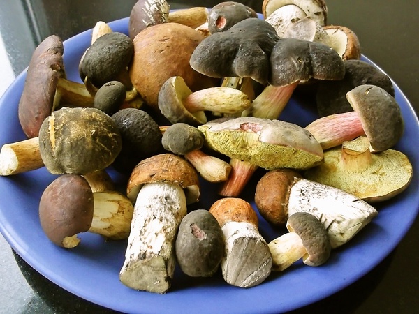 Hubový pekáč (fotorecept) - obrázok 2