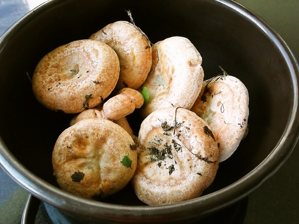 Hubová polievka z rýdzikov, václaviek a bedlí na kyslo (fotorecept) - obrázok 3