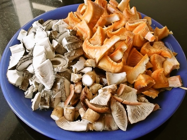 Hubová polievka z rýdzikov, václaviek a bedlí na kyslo (fotorecept) - obrázok 4