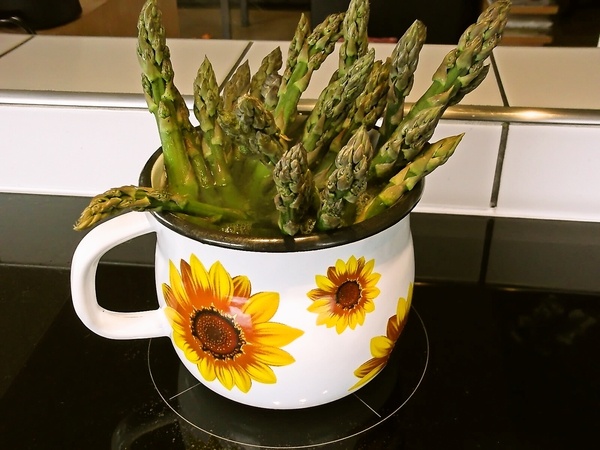 Zelená špargľa s pecorinom a pečiarkami (fotorecept) - obrázok 2