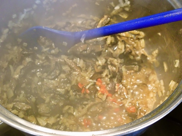 Stroganoff podľa Koko (fotorecept) - obrázok 5