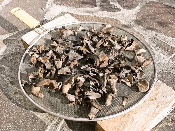 Hubový pekáč č.3 - so šalviou (fotorecept) - obrázok 3