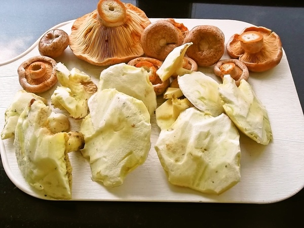 Krkovička pečená na hubách a červenom víne (fotorecept) - obrázok 1