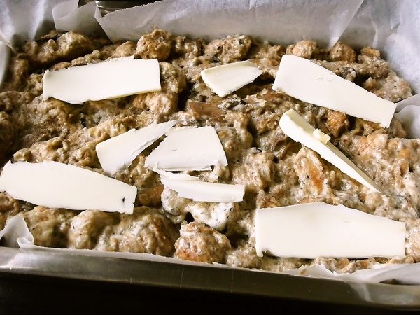 Hubník (fotorecept) - obrázok 5