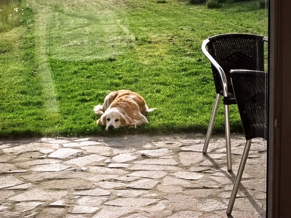 Cestoviny so zelenou špargľou (fotorecept) - obrázok 6