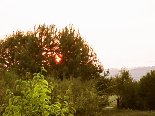 Vianočková bábovka alebo Bábovková vianočka - obrázok 4