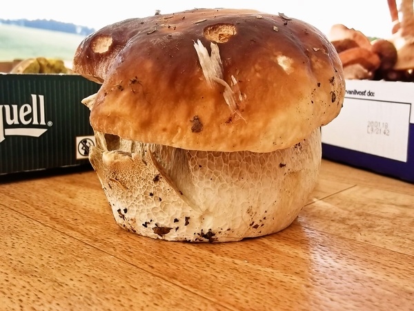 Hubové fašírky bez rožkov a múky (fotorecept) - obrázok 4