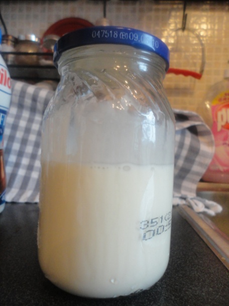 Creme fraiche light verzia (fotorecept) - obrázok 3