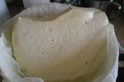 Domáca bryndza - obrázok 1