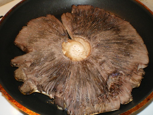 Slaný hubový  koláč (fotorecept) - obrázok 2