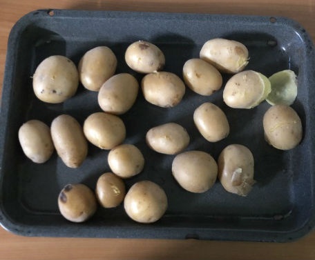 Granadír (fotorecept) - obrázok 4