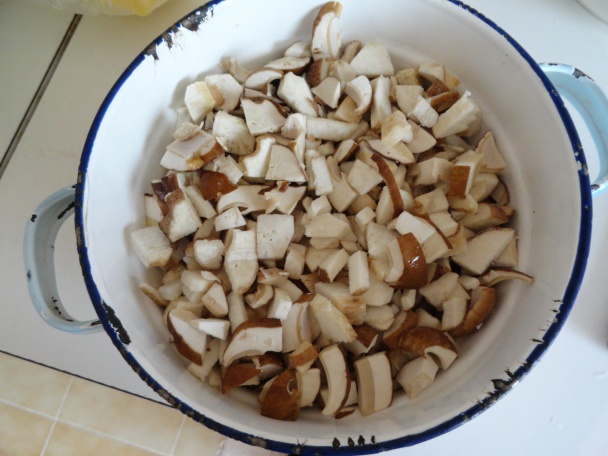 Huby na kyslo - obrázok 1