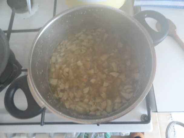 Huby na kyslo - obrázok 2