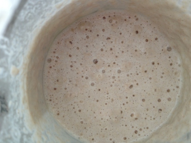 Ražný kvások na chlieb - obrázok 1