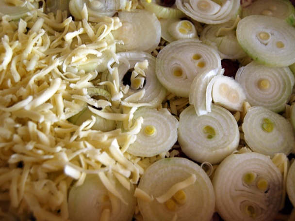 Rezne pod perinou (fotorecept) - obrázok 5